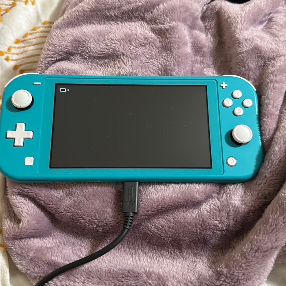 Nintendo Switch Lite With Charger